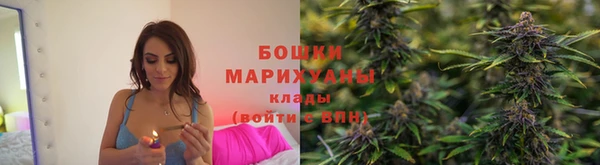 твердый Зеленодольск
