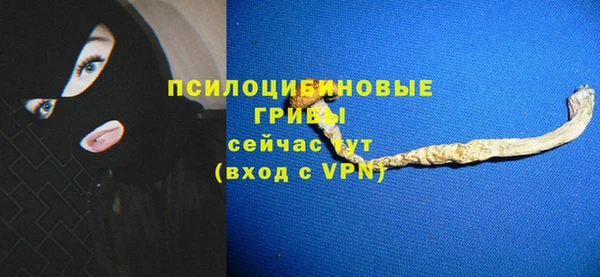 твердый Зеленодольск