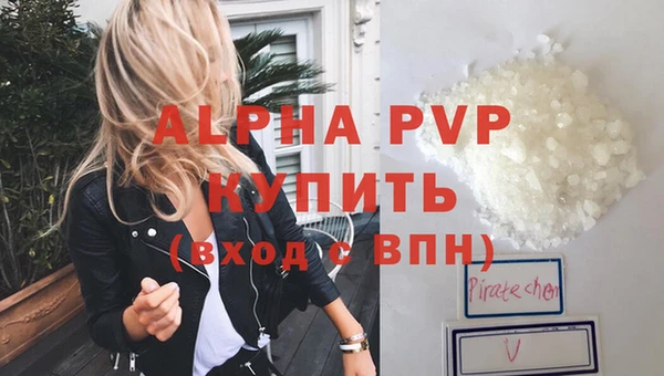 spice Новосибирск