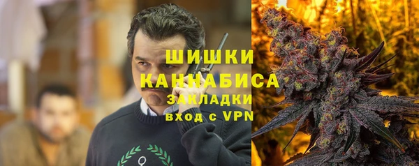 твердый Зеленодольск