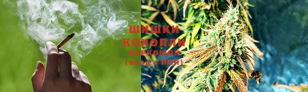 твердый Зеленодольск