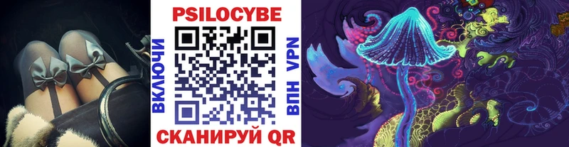 omg маркетплейс  Лангепас  Галлюциногенные грибы Psilocybe 